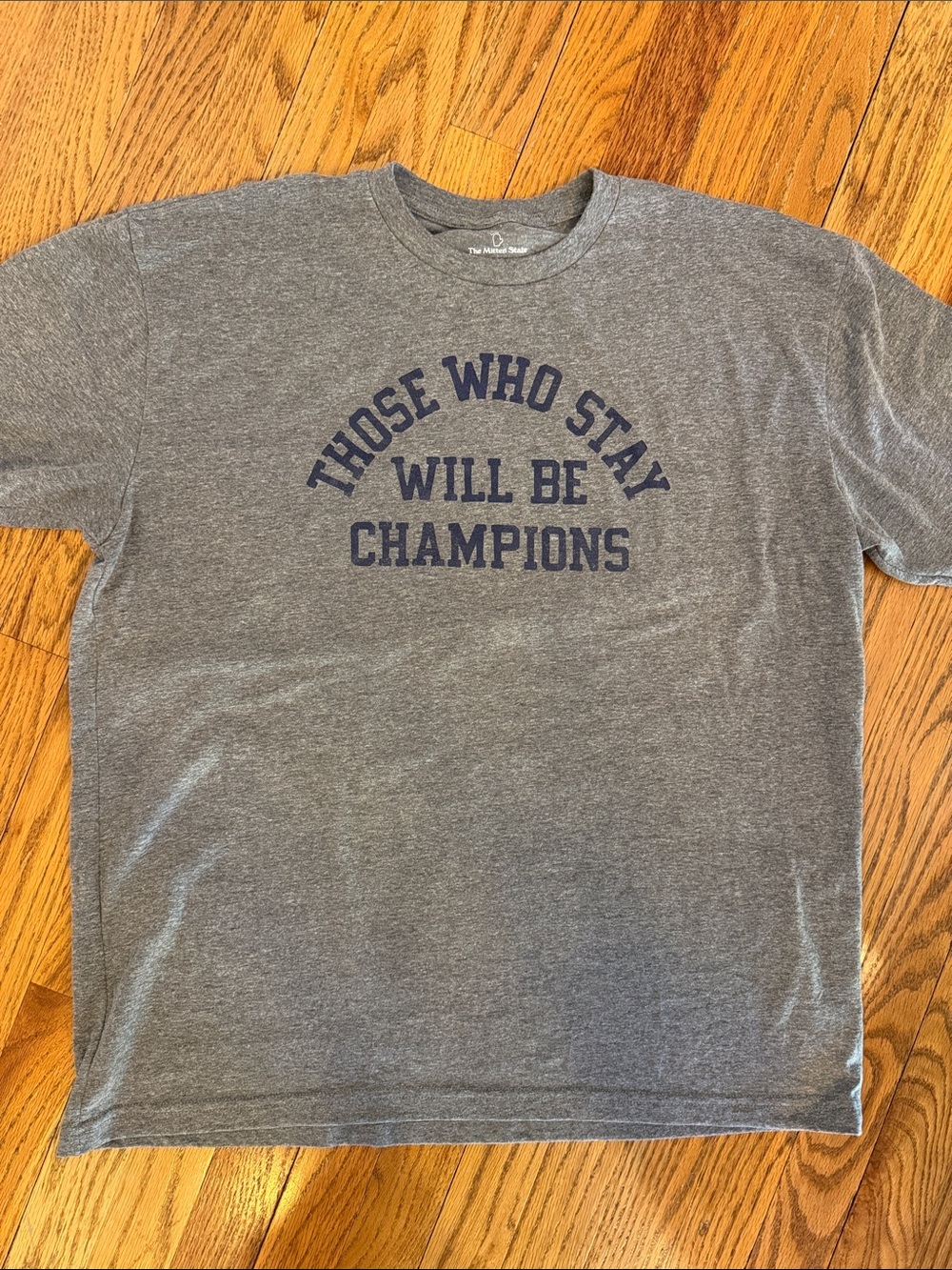 Michigan Wolverines Grey Graphic Tee - Those Who Stay Will Be Champions